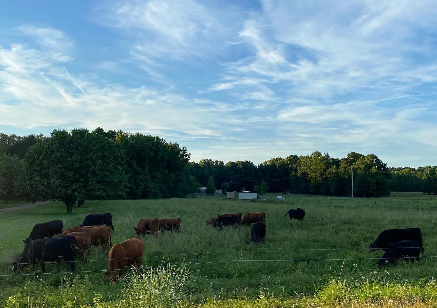 Neighbors say Lafayette County asphalt plant will harm community